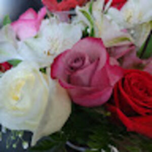 Meet your Posher, Ali